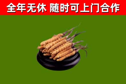 武陵区烟酒回收冬虫夏草.jpg