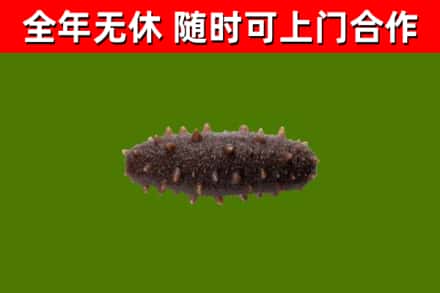 武陵区烟酒回收干海参.jpg
